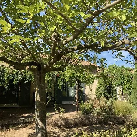 Maison De Vacances 펜션 Saint-Victor-la-Coste